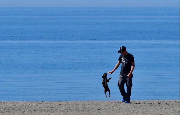 U Španjolskoj dobio 5000€ zbog emotivne boli nakon što mu je vozač pregazio psa