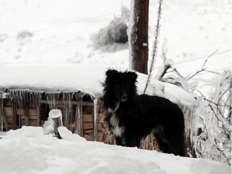Prijatelji životinja: Držanje psa na lancu pretvara hladnu noć u mučenje bez izlaza