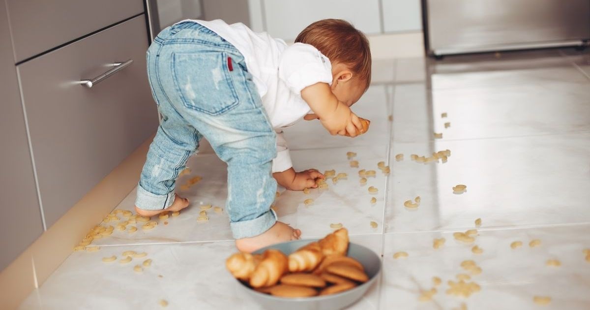 Je li pravilo pet sekundi mit i možete li jesti hranu s poda? Evo što kažu stručnjaci