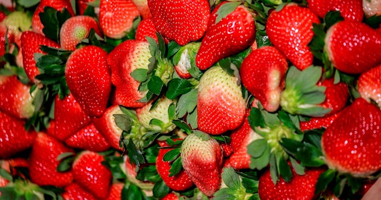 Objavljen popis voća i povrća s najviše pesticida u SAD-u