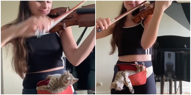 Violinistica i njen mačić oduševili tisuće ljudi genijalnom idejom