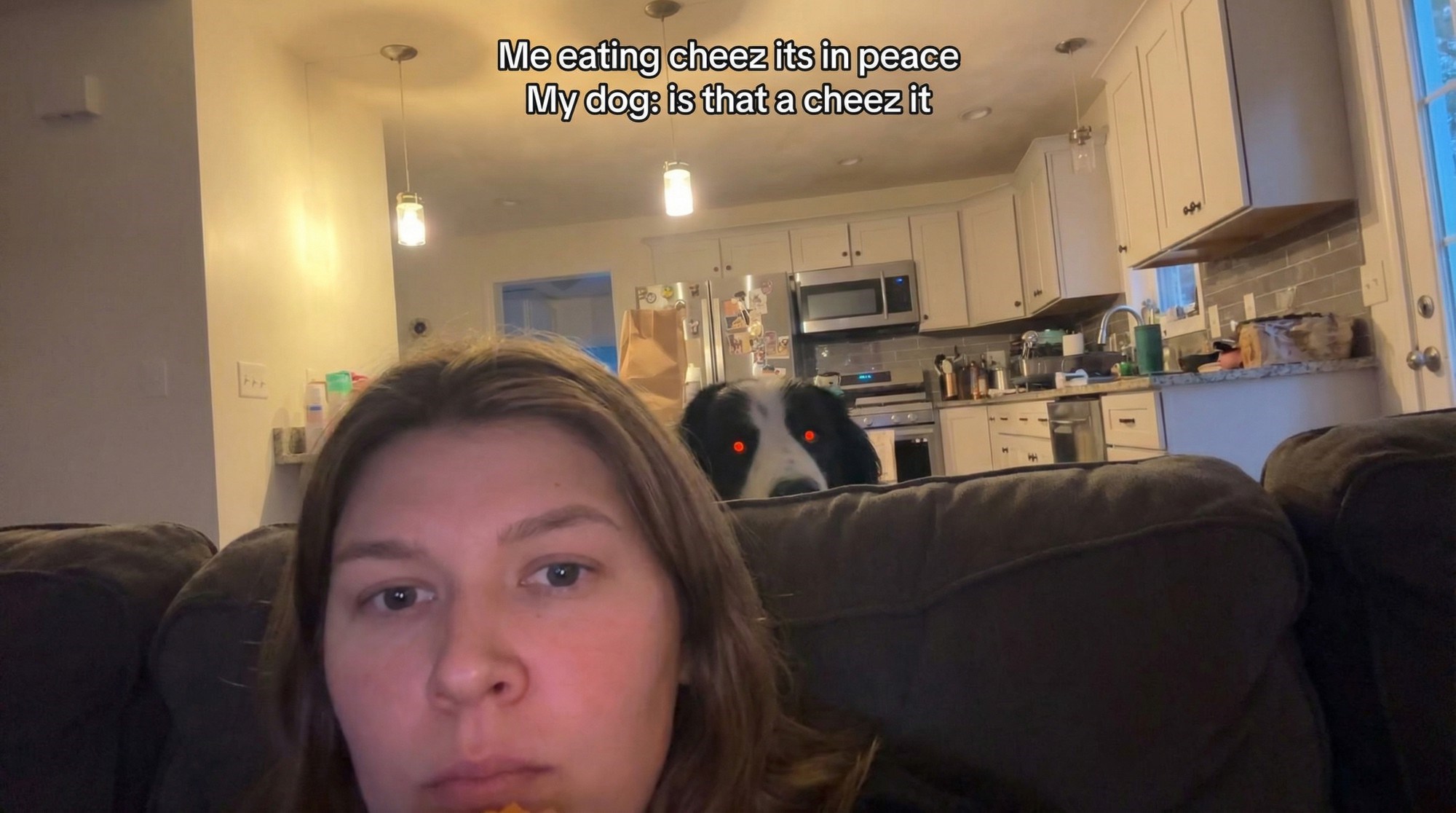 Uvijek vreba: Bernski planinski pas postao zvijezda zbog šuljanja