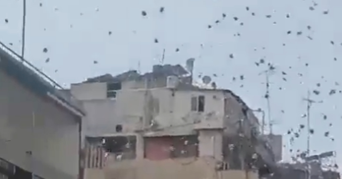 VIDEO Izrael baca letke na Bjerut. Pogledajte što na njima piše