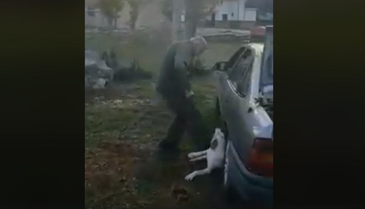 UZNEMIRUJUĆE Fejsom se širi snimka manijaka koji cipelari pse kod Muća