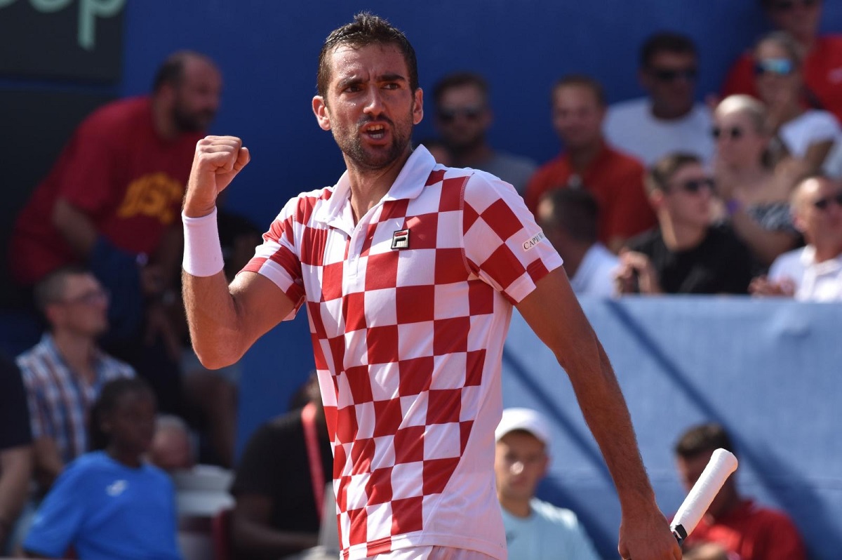 Čilić:  Prva dva seta bila su teniska rapsodija