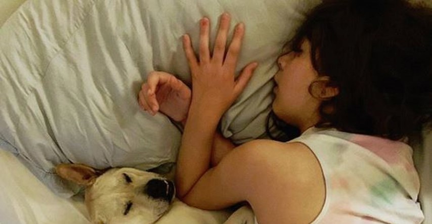 Sorry dečki: Žene bolje spavaju uz psa nego uz muškarca