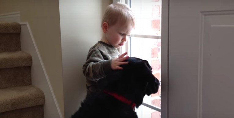 VIDEO Maleni dječak tješi psića koji tuguje za svojim vlasnicima