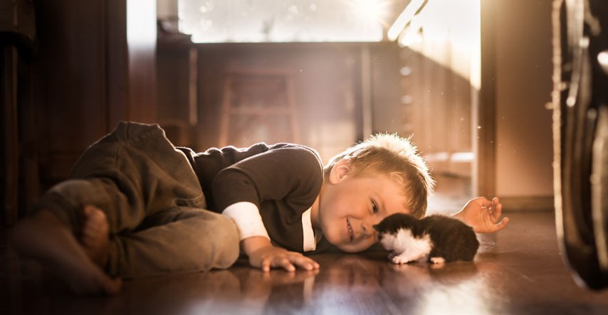 Čarobnim fotografijama bilježi ljubav između mačaka i svojih sinova
