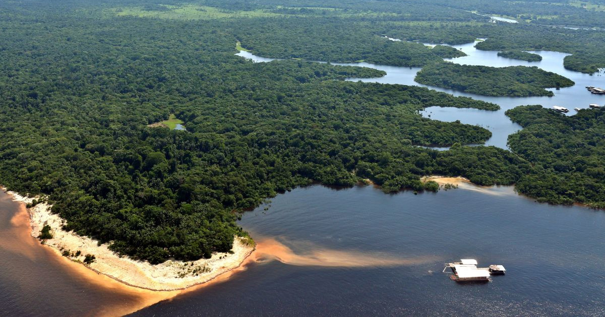 Usporio gubitak prašuma