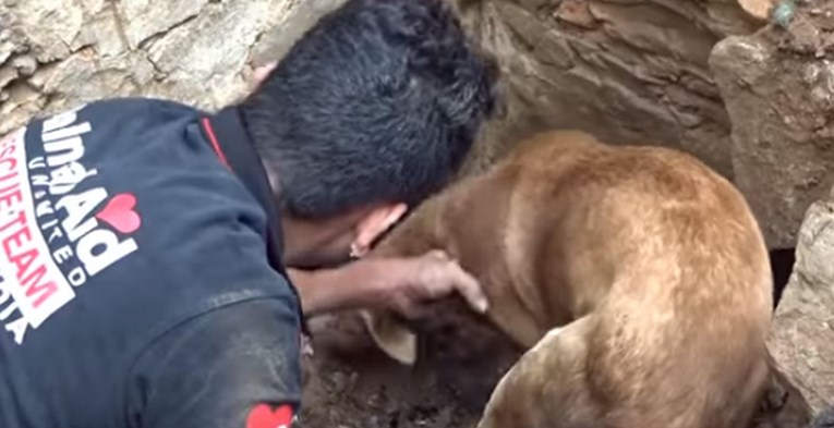 Snimka kuje koja pokušava spasiti svoje štence oduševila je pet milijuna ljudi