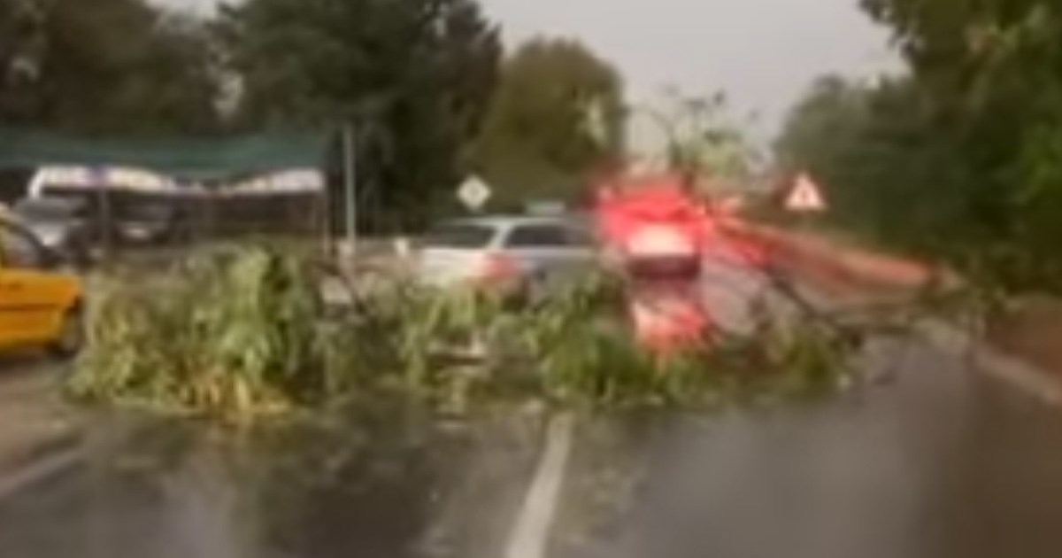 Jako nevrijeme popodne pogodilo Doboj, srušeni stabla i dalekovod