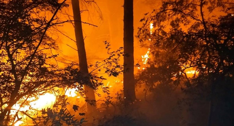 Vatrogasci u Istri lokalizirali veliki požar, izgorjelo 50 hektara