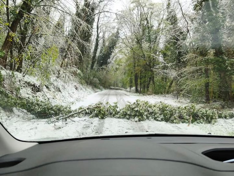 Bjelovarsko-bilogorski vatrogasci imali 17 intervencija tijekom noći