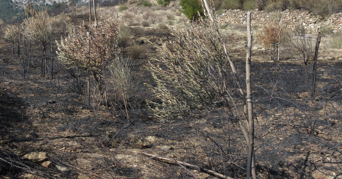 74-godišnjak u Dalmaciji spaljivao otpad pa izazvao požar u ornitološkom rezervatu