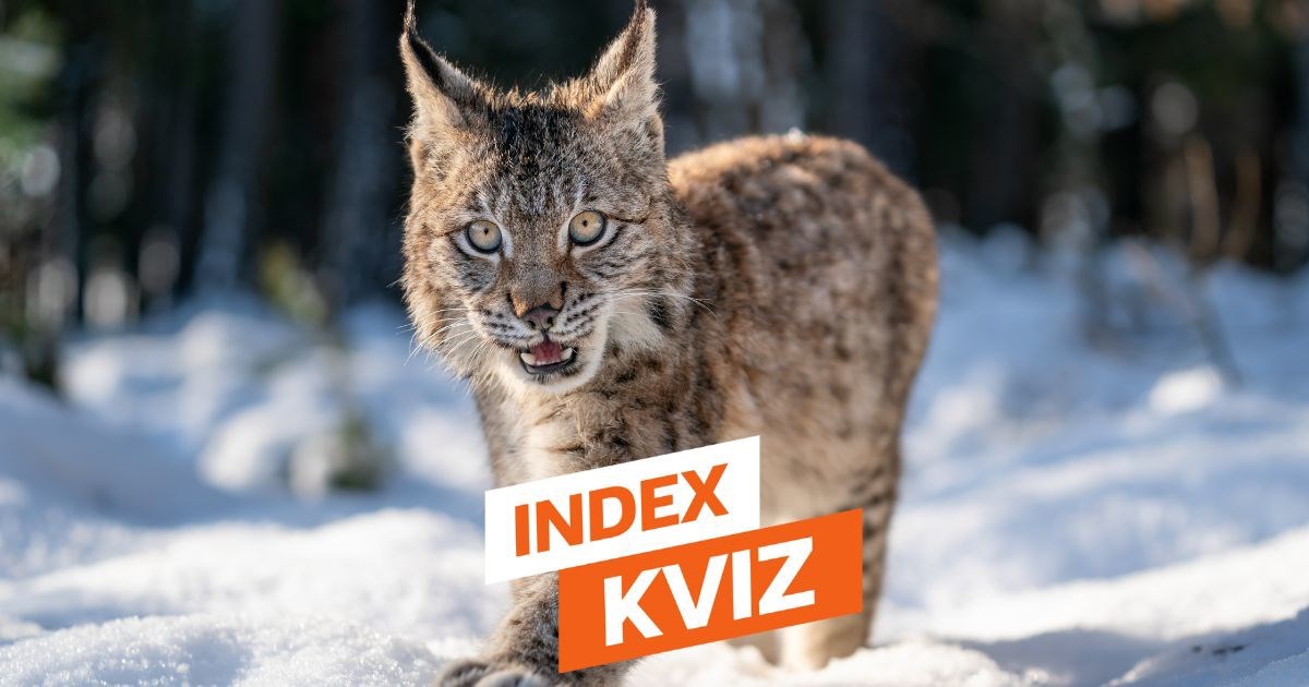 INDEX KVIZ Samo će rijetki znati odgovore na svih 15 pitanja