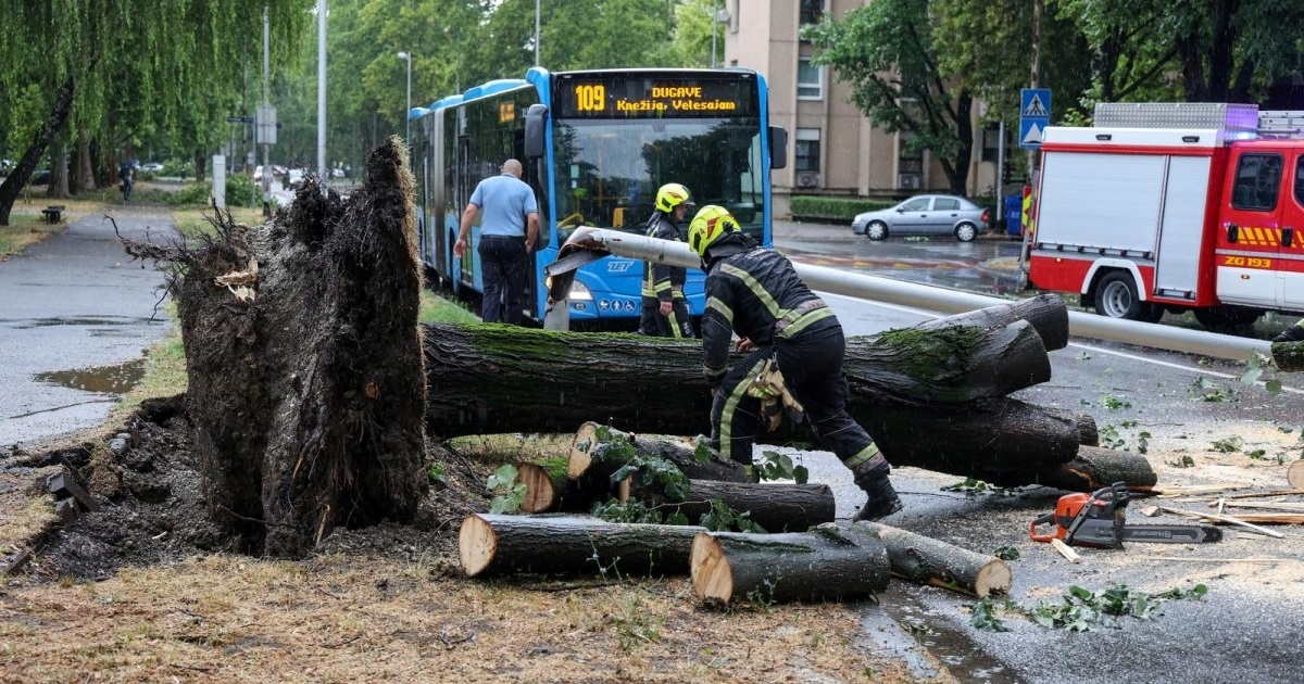 FOTO Pogledajte razmjere štete u Zagrebu. Stabla padala na aute, oštećen krov škole