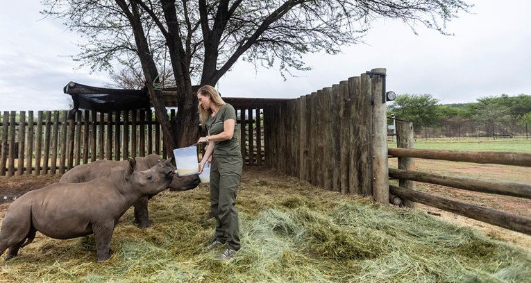 JAR raspravlja o promjeni imena svjetski poznatog parka Kruger