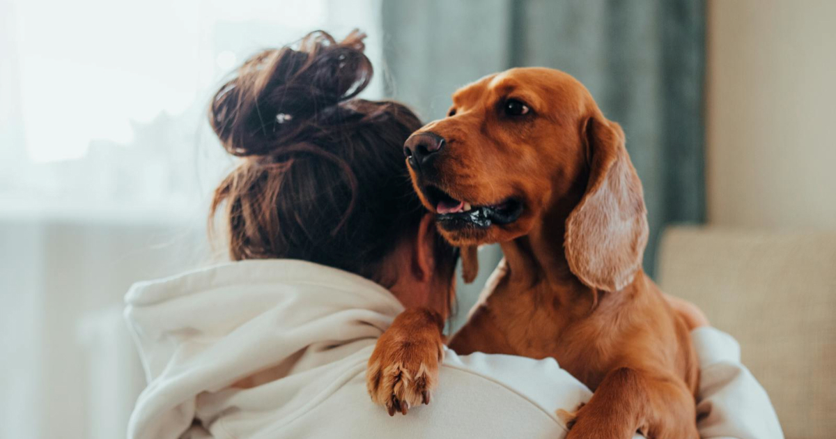 Što vaš stil brige o ljubimcu govori o vama? Jedna navika može narušiti vaš odnos