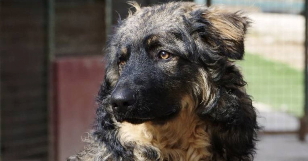 Vraćen kad je narastao, Jayson sada traži nekoga tko će ga voljeti zauvijek