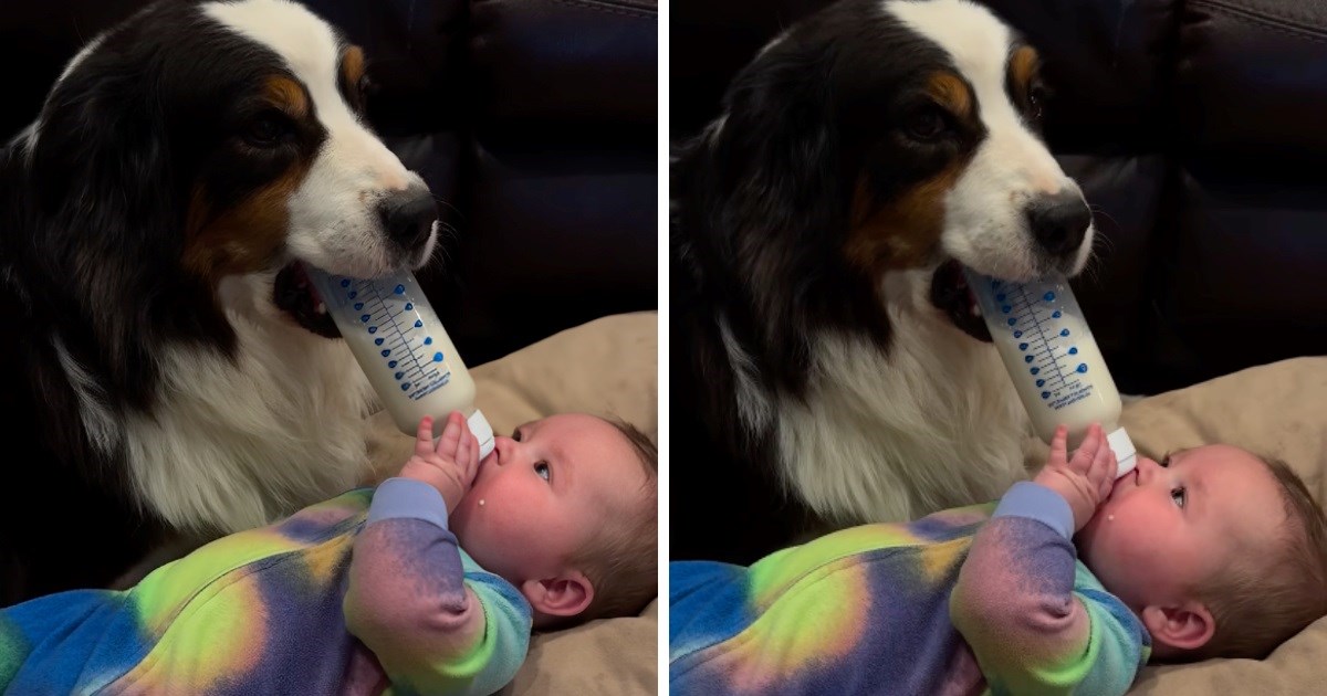 Roditelji se našalili videom: Ne tražimo više dadilju za bebu, mjesto je popunjeno