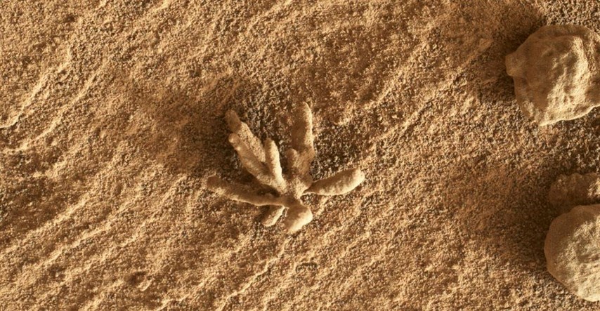 FOTO Rover na Marsu pronašao "kameni cvijet"