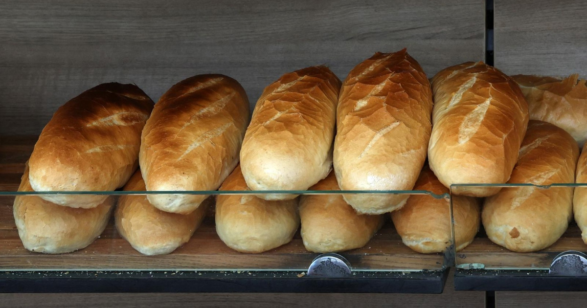 Nutricionisti otkrili što se događa ako svaki dan jedemo bijeli kruh