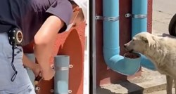 Tip našao način kako hraniti i napajati pse lutalice, video postao hit na Twitteru