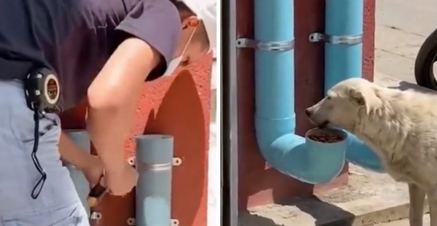 Tip našao način kako hraniti i napajati pse lutalice, video postao hit na Twitteru