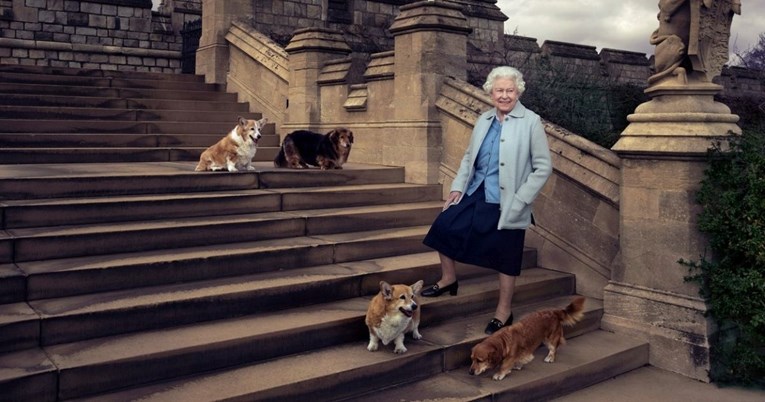 Iza kraljice su ostala četiri psa. Što će se dogoditi s njima?