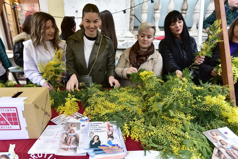 Dan je mimoza. Rak vrata maternice može se spriječiti i gotovo potpuno izliječiti