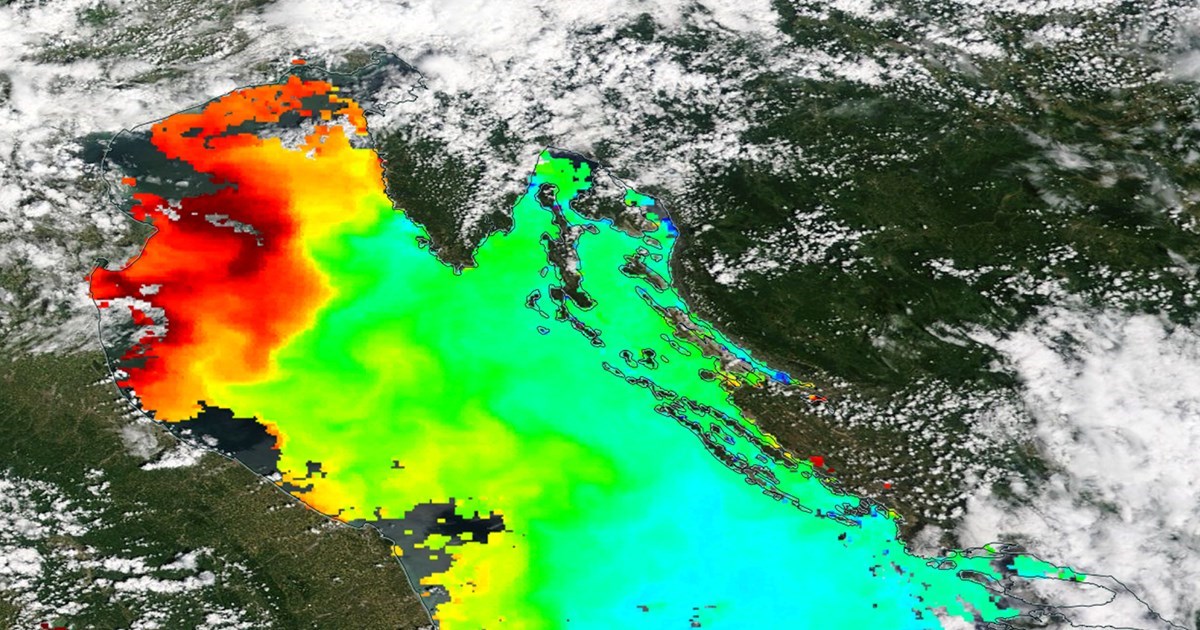 Jadran se guši u najviše sluzi od 2004. U čemu je problem i kada će to prestati?