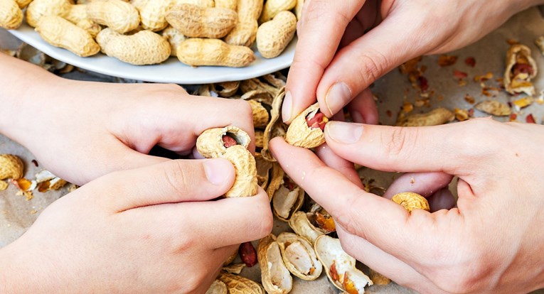 Kikiriki je jedan od "velikih osam" alergena koji uzrokuju 90 posto alergija