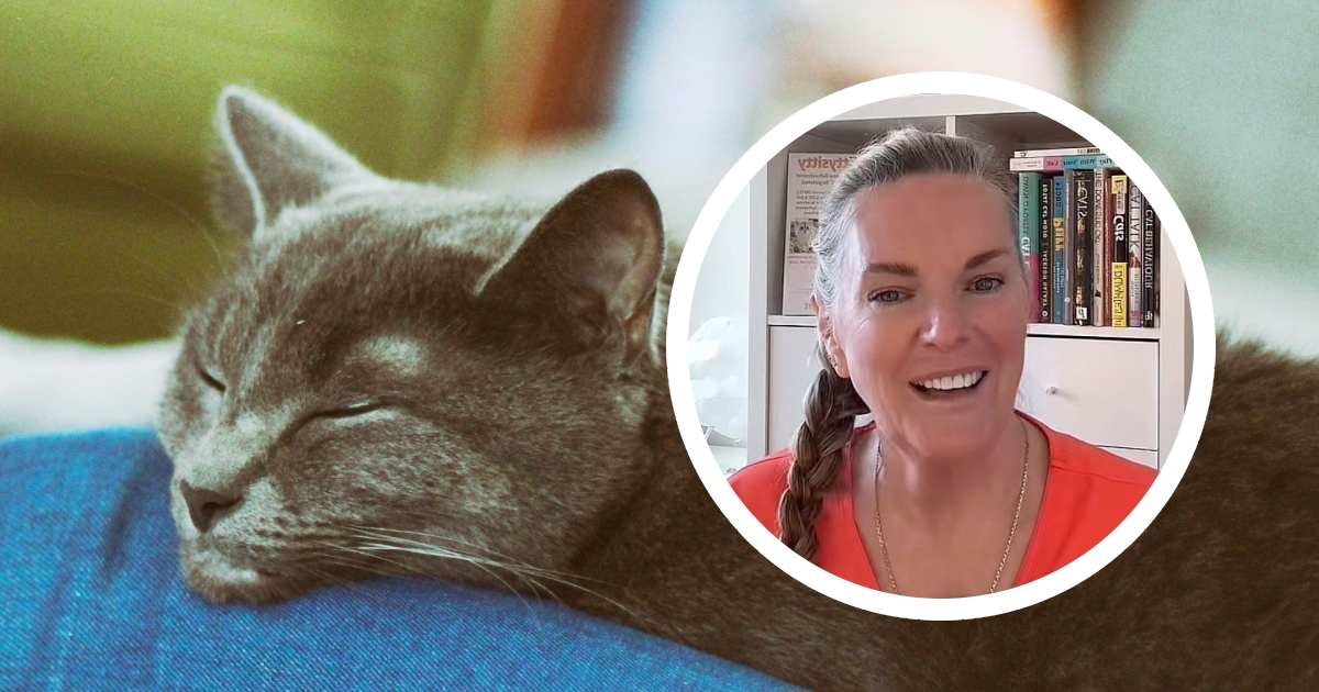 Bihevioristica otkriva zašto mačke vole spavati na vlasnicima