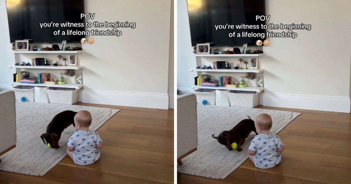 Mama je snimila prvu igru između sina i psa, slatki videozapis mami osmijeh na lice