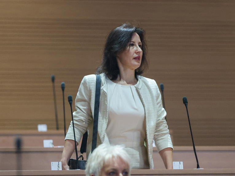 Dalija Orešković: Markić okuplja ljude iz BiH da u Zagrebu pametuju