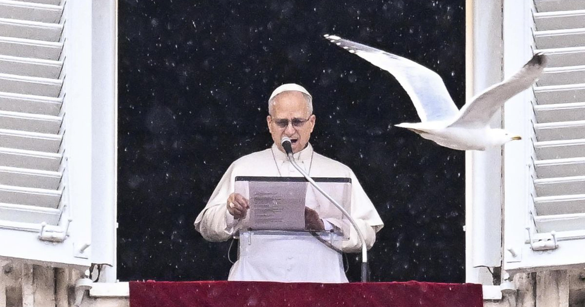 Papa Lav: Rat na Bliskom istoku je skandal za cijelu ljudsku obitelj