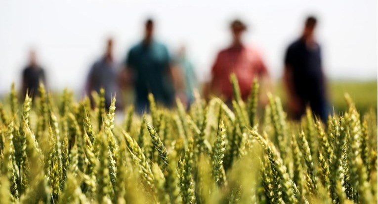 Poljoprivrednici se bune protiv novog zakona o sjemenu, sutra kreće rasprava