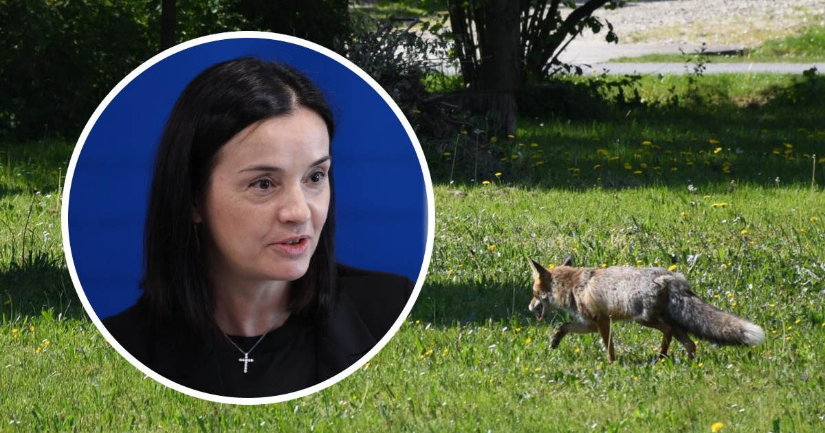 Ilegalna trgovina divljim životinjama ogroman je biznis. Hrvatska uvodi novi plan