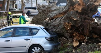 Jak vjetar izazvao kaos u Hrvatskoj, DHMZ za sutra objavio crveni alarm