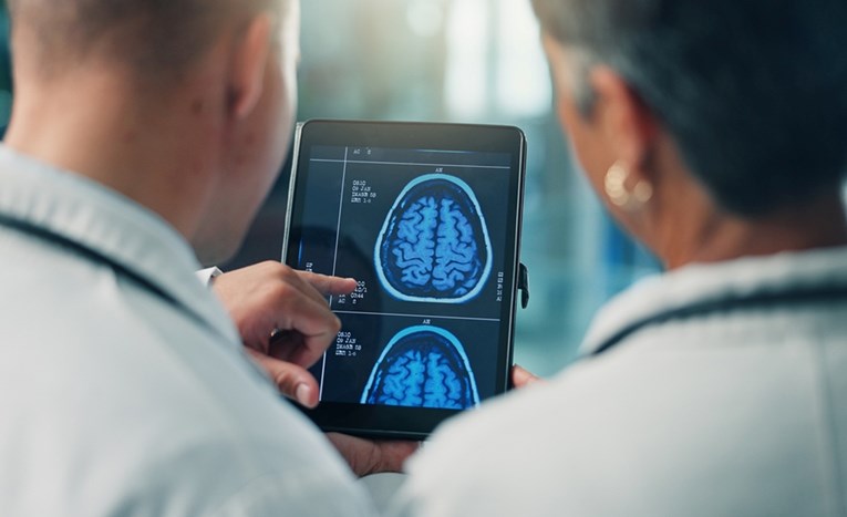 Njemački neuroznanstvenik otkrio kako mozak organizira znanje