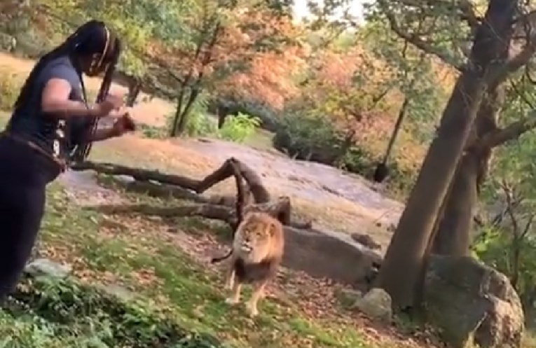 VIDEO Žena u SAD-u ušla lavu u brlog i plesala pred njim