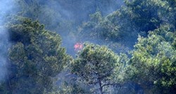 Kod Zagvozda izgorjela borova šuma, požar gasio i kanader