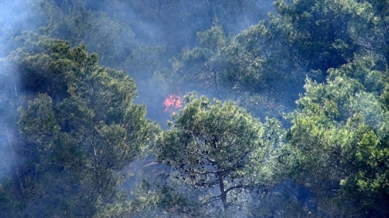 Kod Zagvozda izgorjela borova šuma, požar gasio i kanader