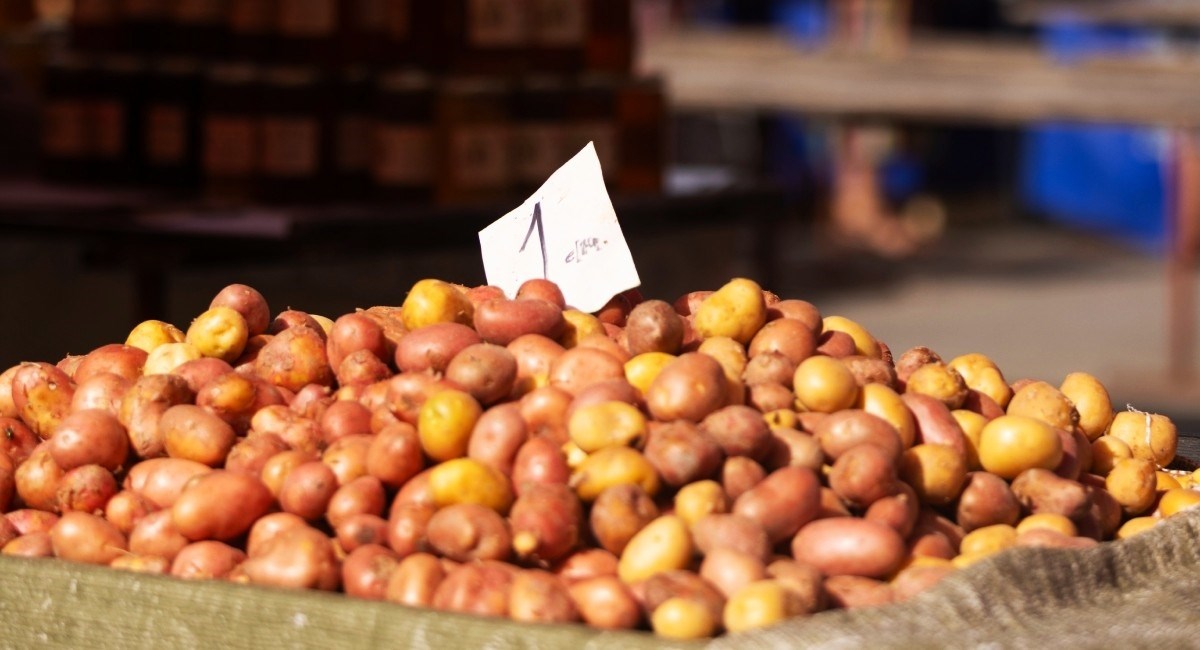 Mladi krumpir podsjeća nas na djetinjstvo, ovako su ga pripremale naše bake