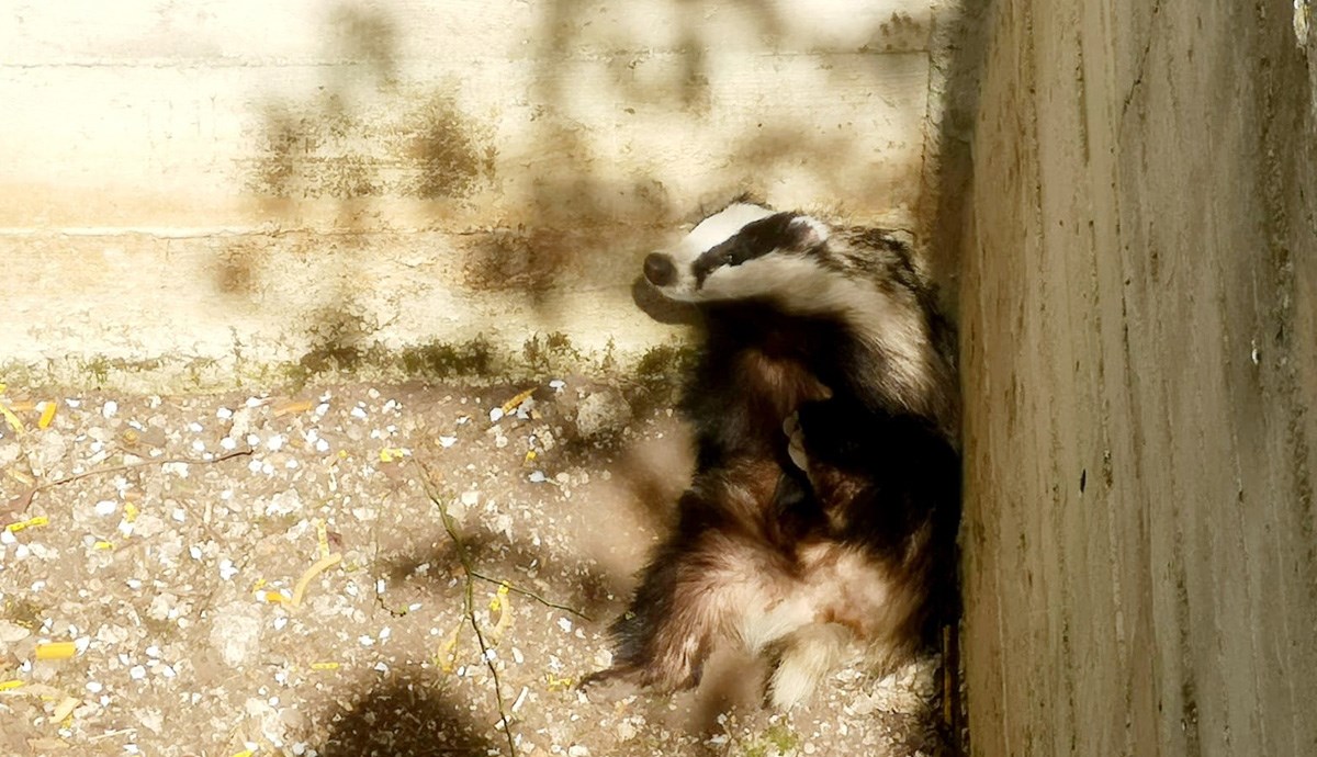 Ovaj vikend je bio pun neobičnih akcija spašavanja životinja u Zagrebu