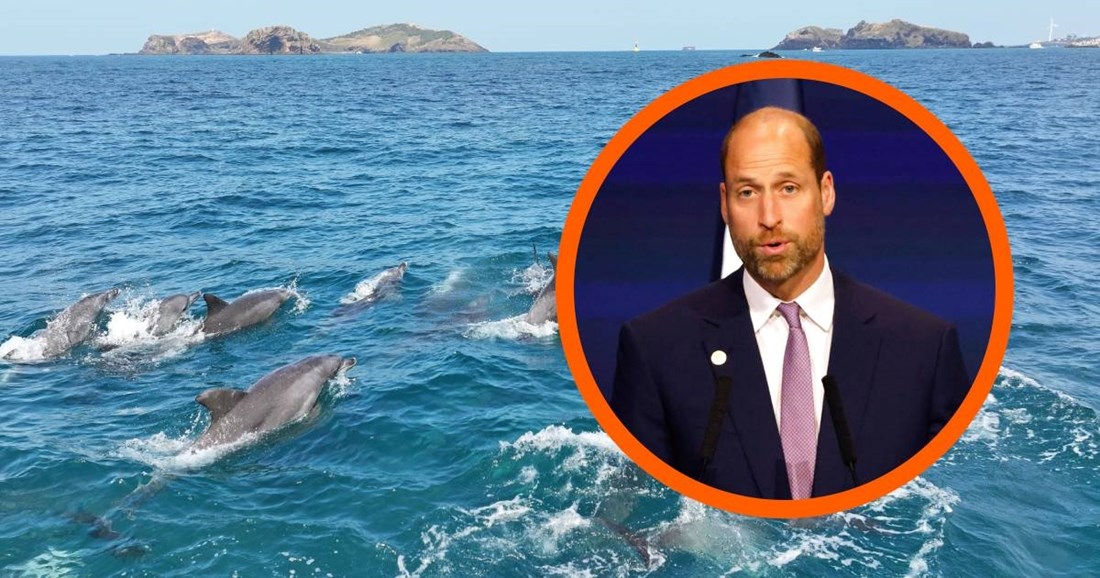 Princ William pozvao na hitnu zaštitu oceana: "Nestaje pred našim očima"