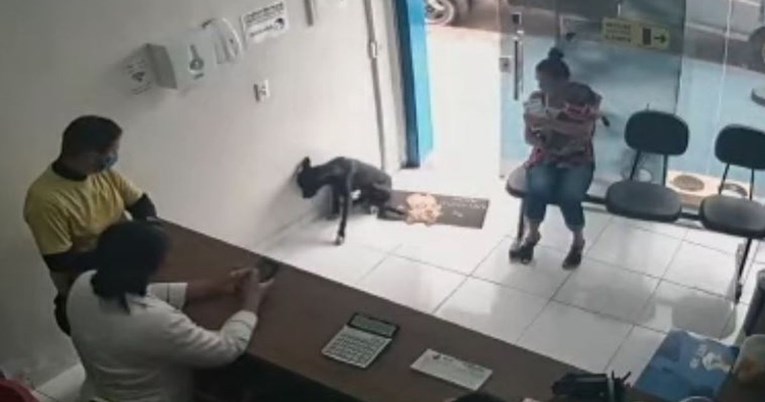 Ozlijeđeni pas lutalica ušao u veterinarsku kliniku i zamolio ljude za pomoć