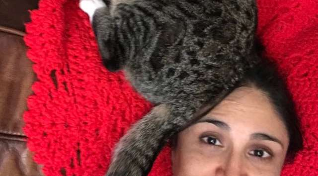 Satima je tražila nestalog mačka, umrla je od smijeha kada ga je pronašla