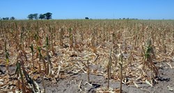 Argentina izvozi ogromne količine soje i kukuruza. Žetva bi mogla biti najgora do sad