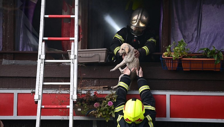 VIDEO Požar u Zagrebu, ozlijeđeno petero ljudi. Spašena i dva psa, mačka i zec